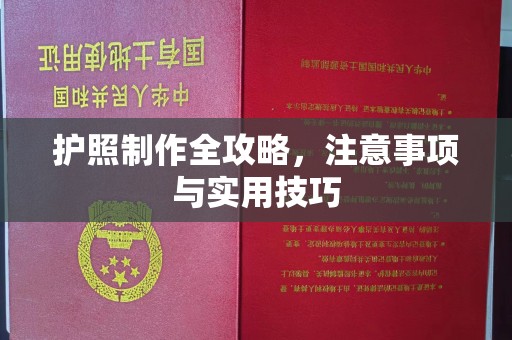 西畴护照制作全攻略，注意事项与实用技巧