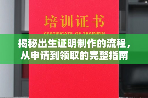 西畴揭秘出生证明制作的流程，从申请到领取的完整指南