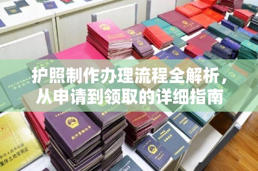 西畴护照制作办理流程全解析，从申请到领取的详细指南