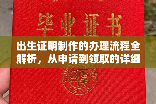 西畴出生证明制作的办理流程全解析，从申请到领取的详细指南